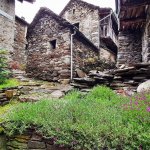 Passeggiando per Rovegro - Foto G. Gallo